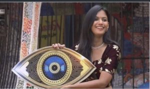 Bigg Boss 4 Telugu: Contestants chose Ariyana as not deserving Title Winner!