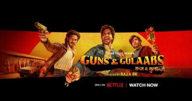 Guns and Gulaabs Streaming on Netflix