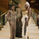 Black Panther: Wakanda Forever Posts Great Numbers at the box office